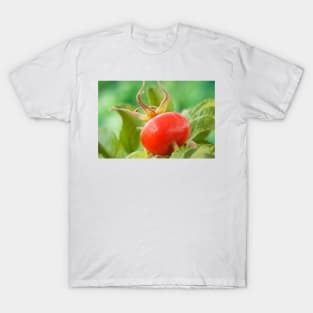 Rosa rugosa  &#39;Alba&#39;  AGM  Rose hip T-Shirt